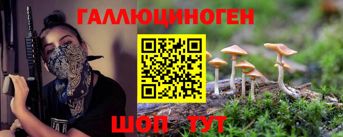 Приморско-Ахтарск  Псилоцибиновые грибы Psilocybine cubensis  Вход с VPN 
